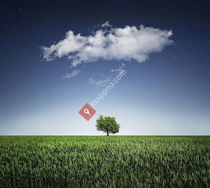 ShapeRoller Bremanger