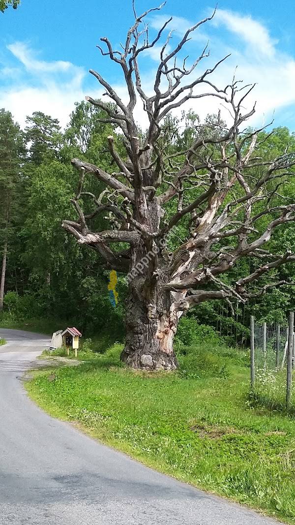 Sigurd inscription runic carvings