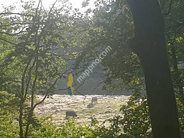 Simlångsdalens Ställplatser