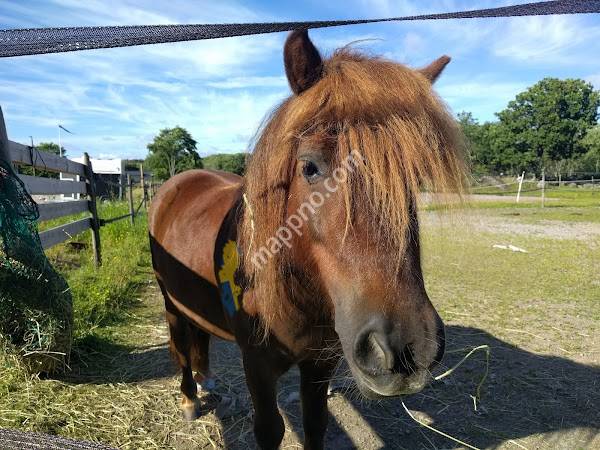Skaftö Ridklubb