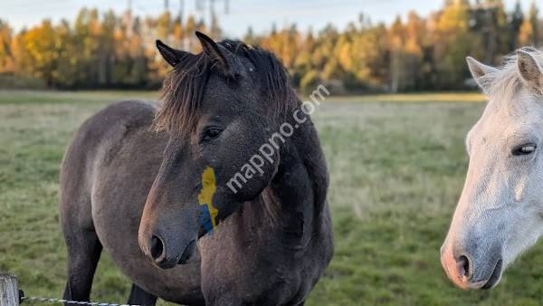 Skansens Ridklubb