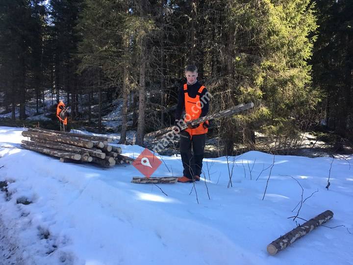 Skigard og utmarksleveranser UB