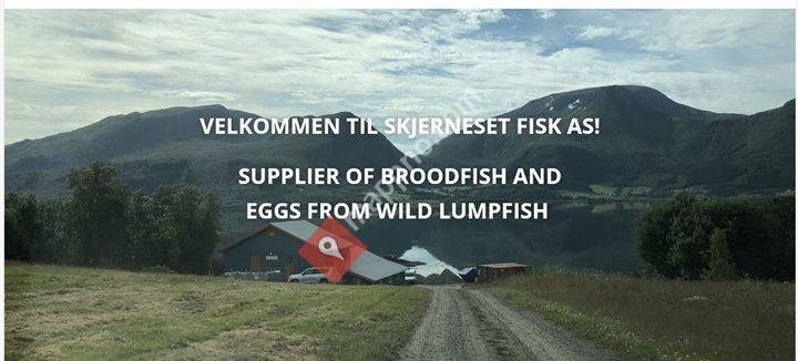 Skjernest FIsk As