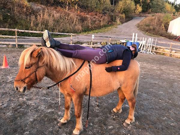 Skollerud gampetreff