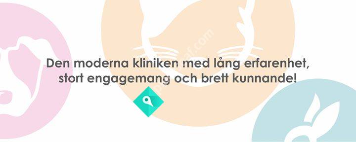 Smådjurskliniken Örnsköldsvik