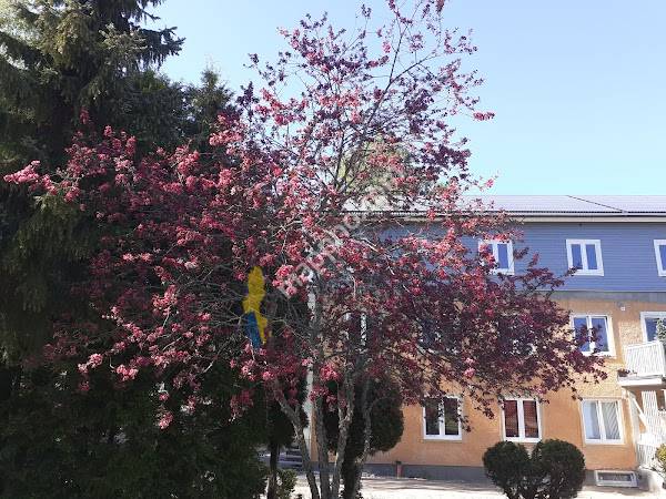 Söderbykarlsgården