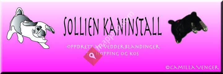 Solliens Hoppekaniner