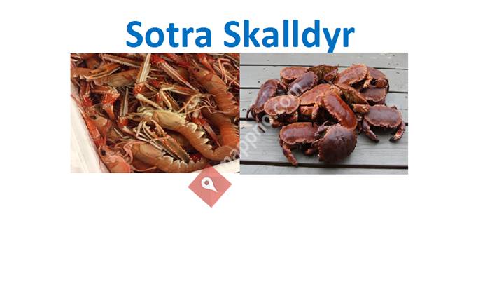 Sotra Skalldyr