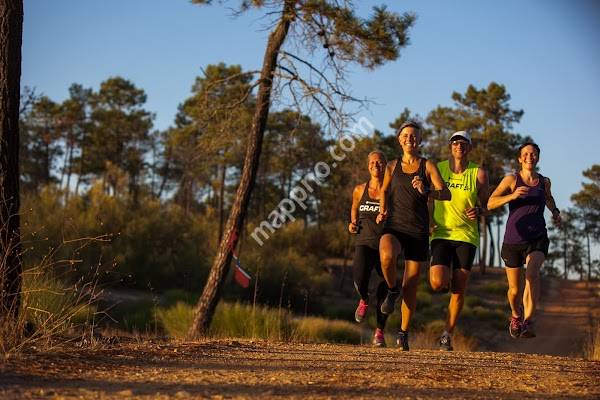 Springtime Travel Norway AS