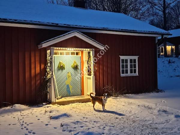 Stålsbergaveterinären