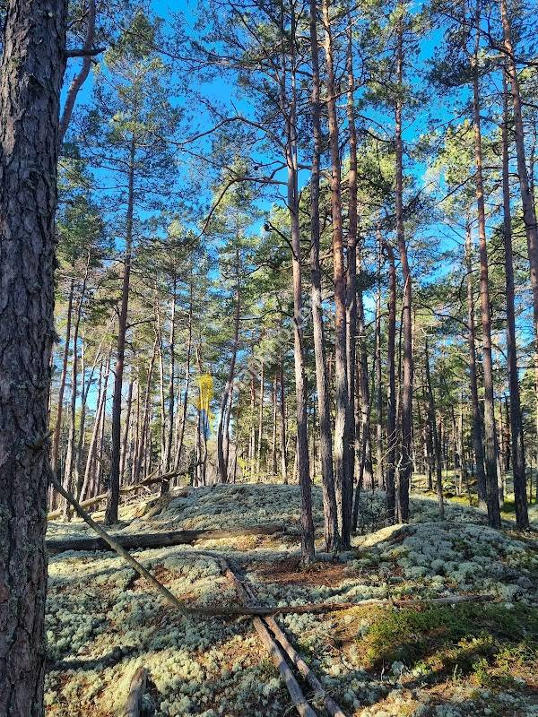 Stavlunds Motionsspår