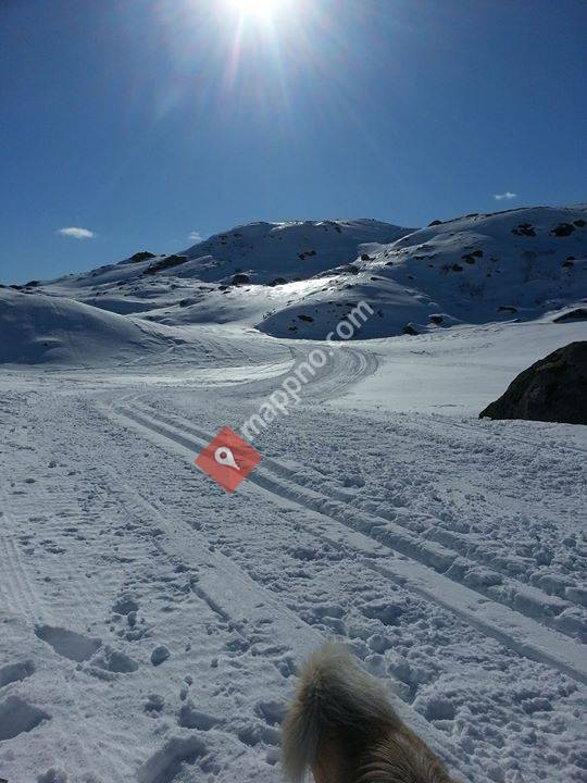 Stavtjørn BBQ & Resort