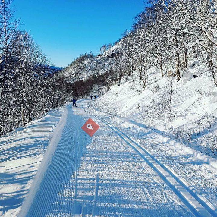 Stavtjørn Vintercamping