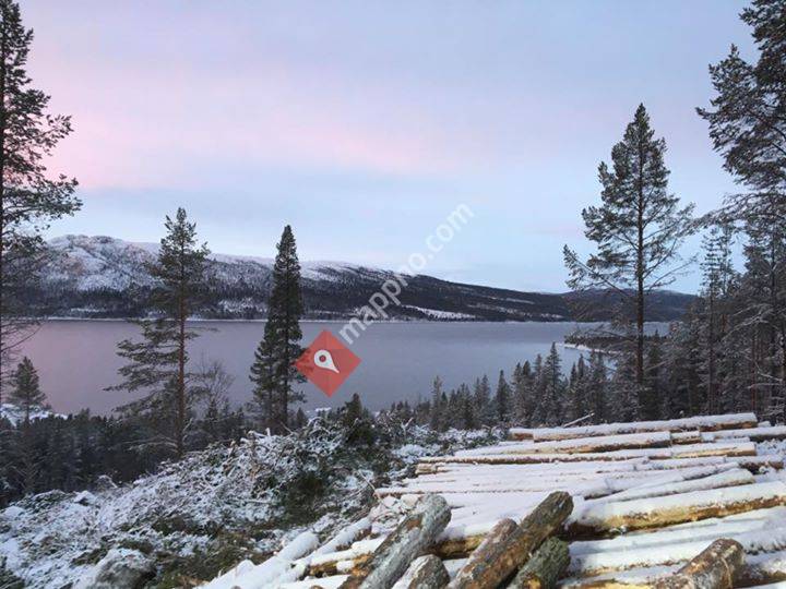 Steinar Guterud Skogsdrift