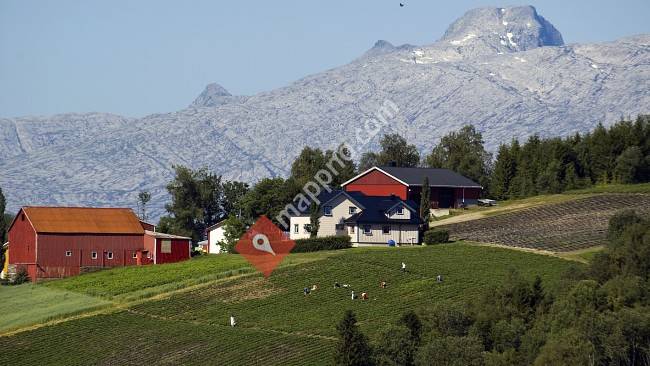Stenhaug Bærgartneri