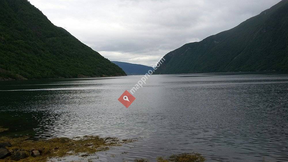 Stiftelsen M/s Arnafjord