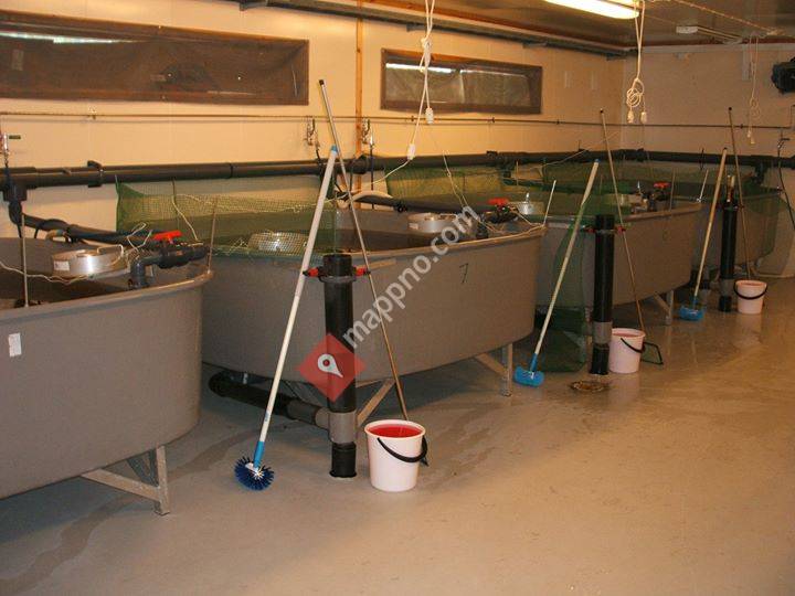 Stjørdalsvassdragets Klekkeri