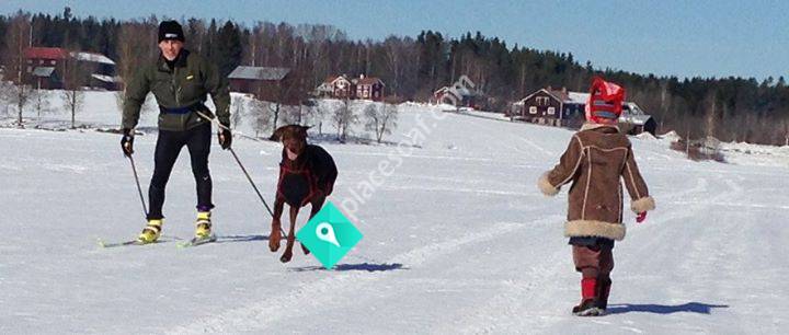 Stömnesjön Skate- och Draghundsspår