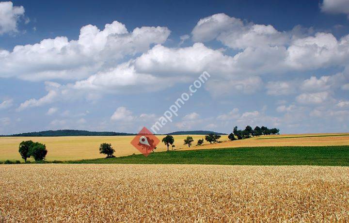 Stowarzyszenie Polskie na Hitrze/ Polsk Forening på Hitra