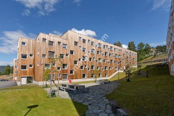 Studentsamskipnaden i Innlandet