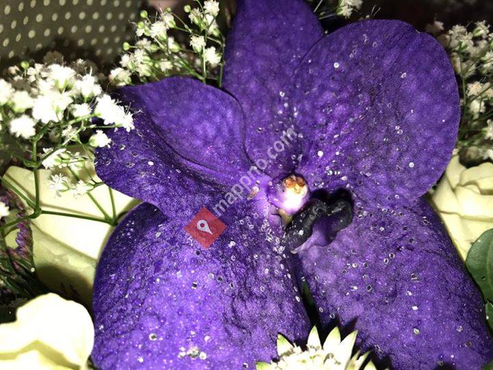 Sund Senter Blomster