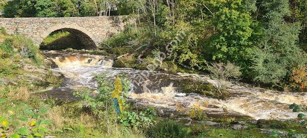 Svabesholms Kungsgård parkering