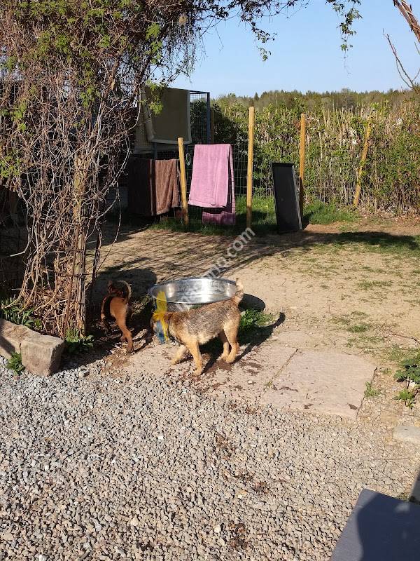Swespeed K9 Kennel