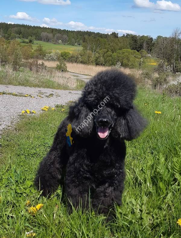 Täby Kyrkby Veterinärklinik AB