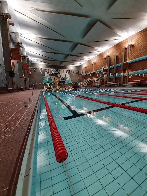 Tønsberg Svømmeklubb