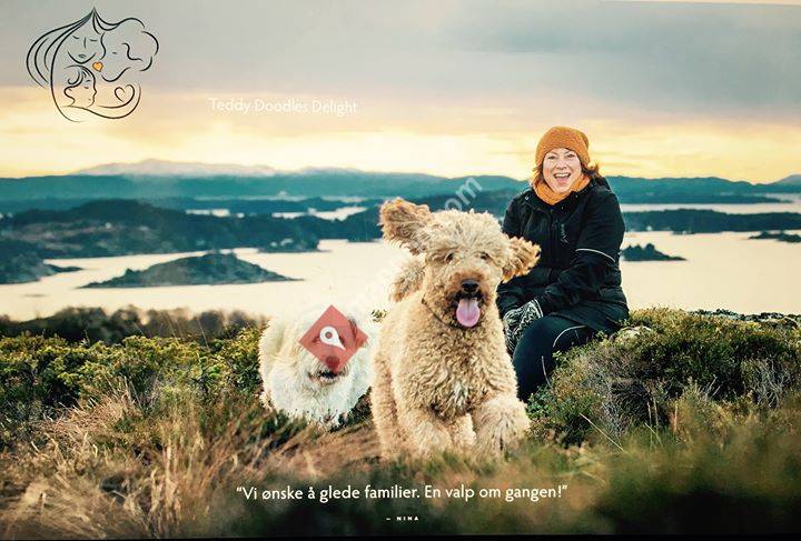 Teddy Doodles Delight