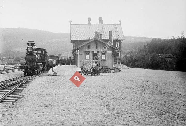 The curly girl's world