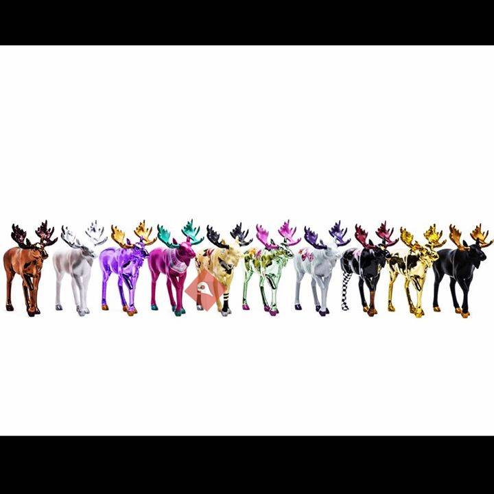 The Showroom Tattoo/ELGR Design