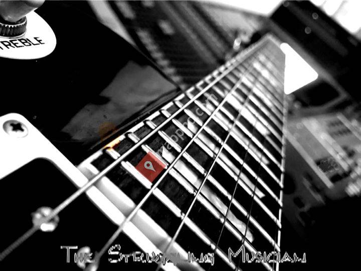 The-Struggling-Musician