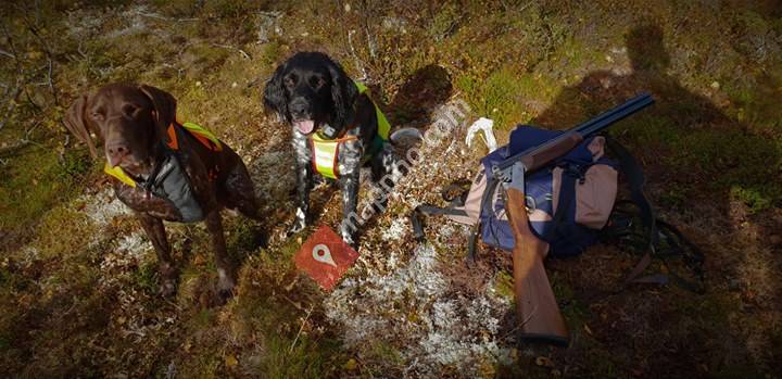 Tomas Vorsteh og Danja Grosser