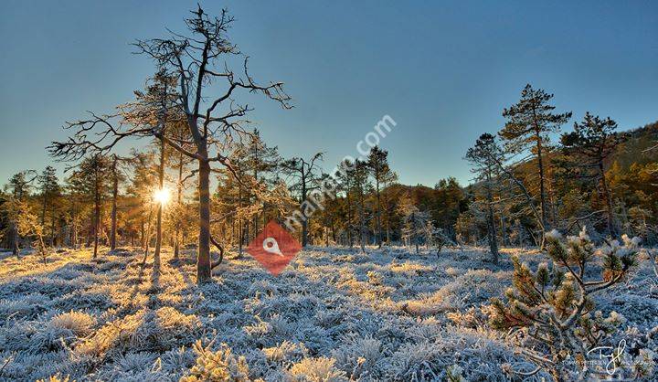 Tommy Pettersen Photography