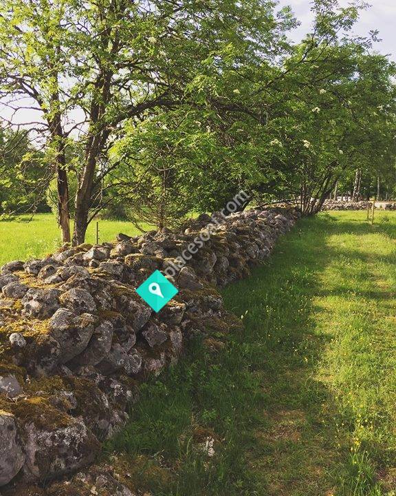 Toppen på Gislaved Föreningen