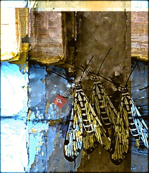 Toril G. Oksvold Billedkunst