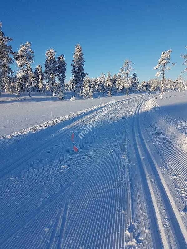 Toten almenning Lodd NR 3