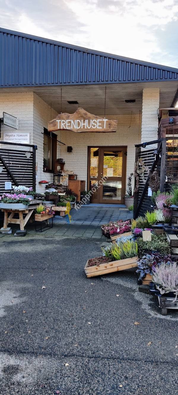 Trendhuset i Torestorp - Café, Blommor, Heminredning