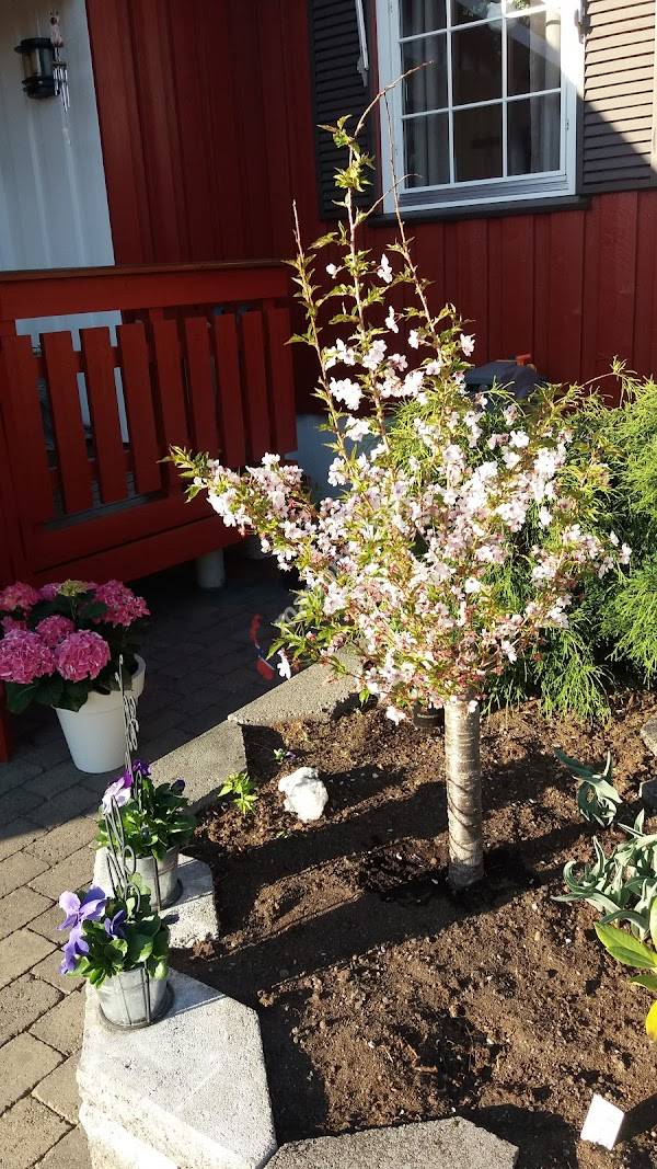 Tresenter øst Opplæringskontor for Trefa