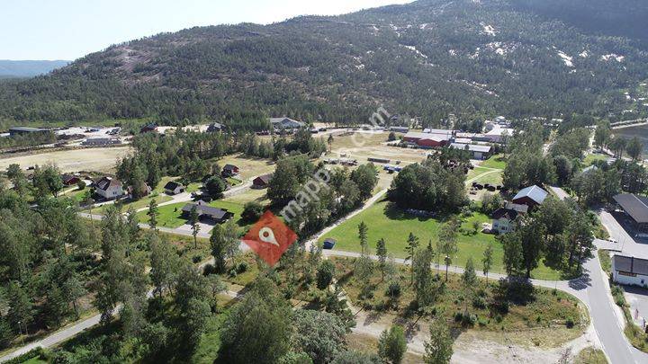 Treungenfestival camping