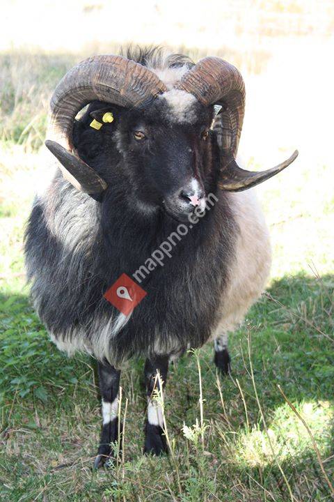 Trollkid Eventyrmøbler