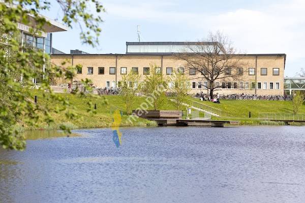 Umeå University Library