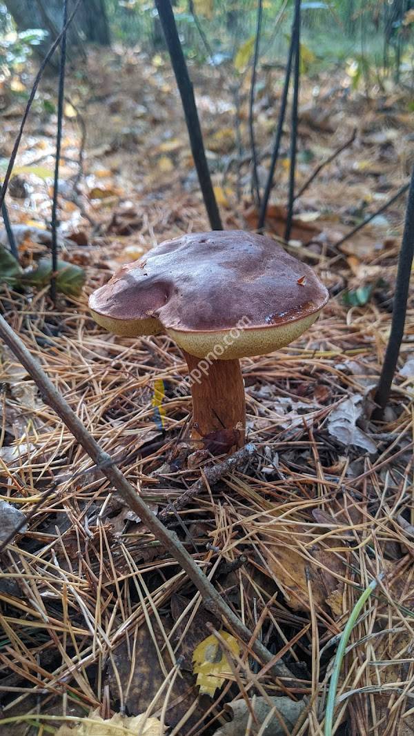 Vandringsleder Annies Gård