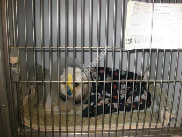 Vara Veterinärstation AB