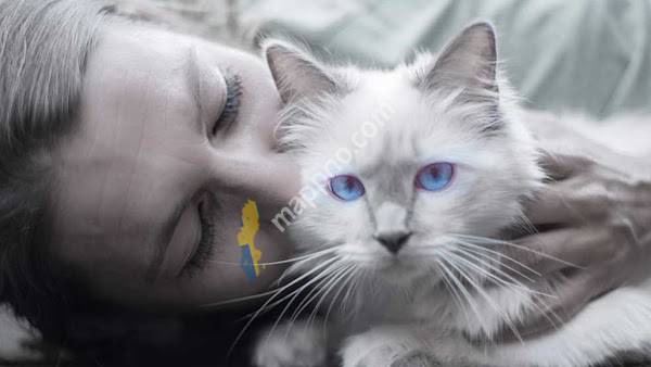 Varekils Animal Clinic AB