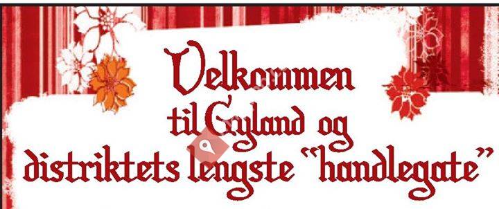 Verdens lengste handlegate