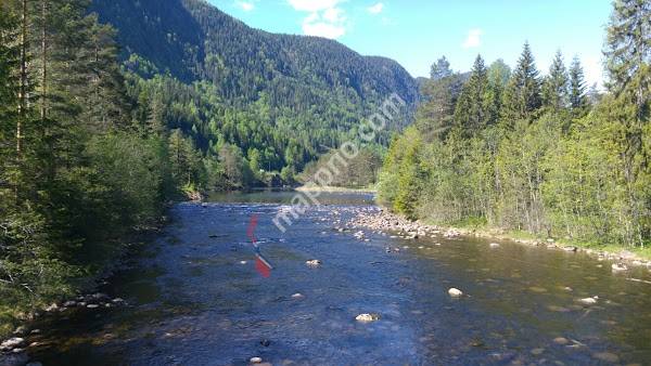 Vest-Telemark vidaregåande Skule