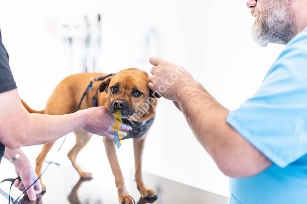 VetaDerm & VetaCare Göteborg AB