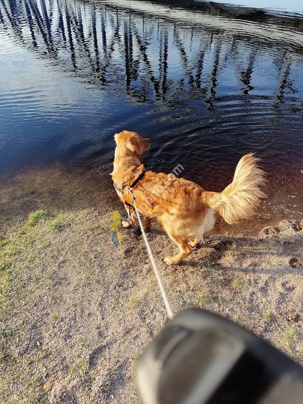 Veterinärkliniken i Djurås